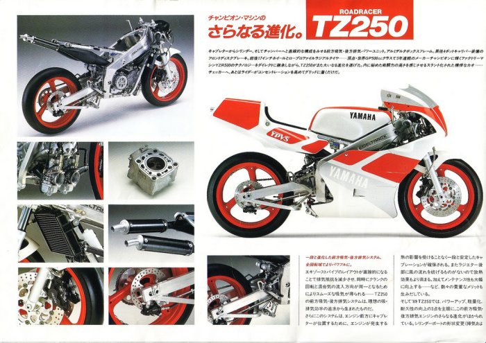 Yamaha TZ 250